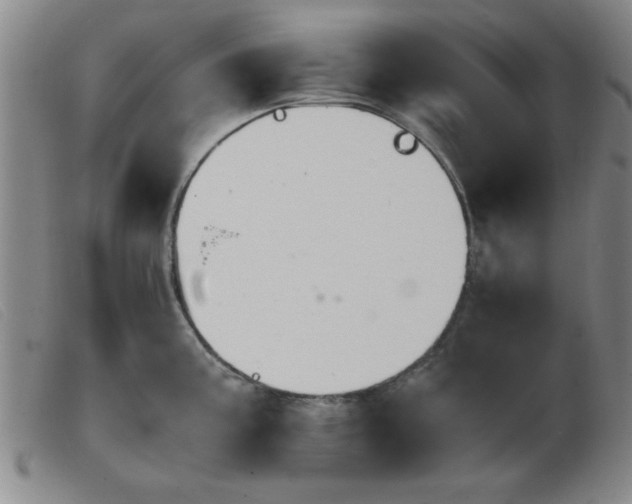 X0000103901195200809191231