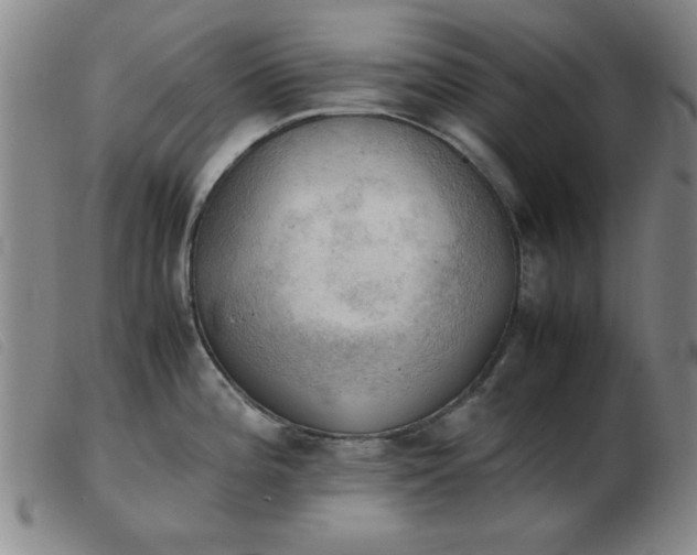 X0000103901196200809191231