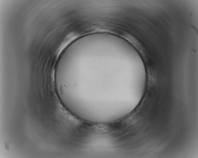 X0000103901198200809191231