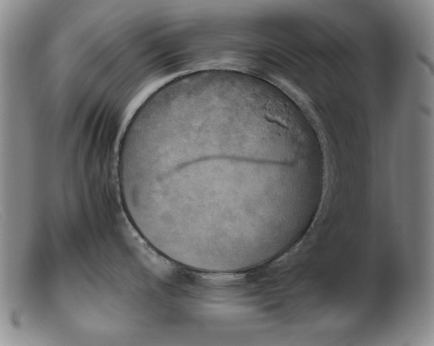 X0000103901200200809191231