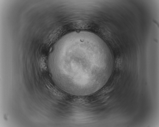 X0000103901202200809191230