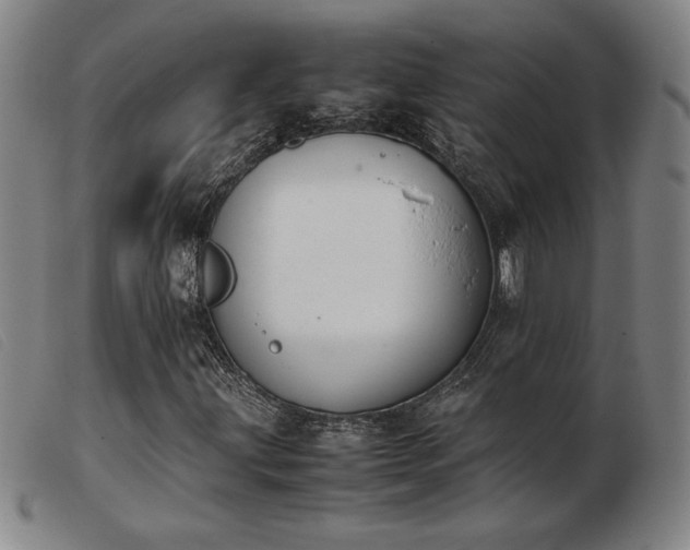 X0000103901203200809191230
