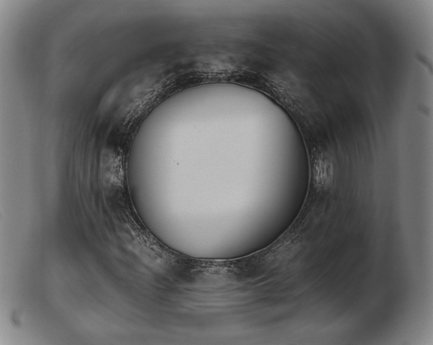 X0000103901204200809191230