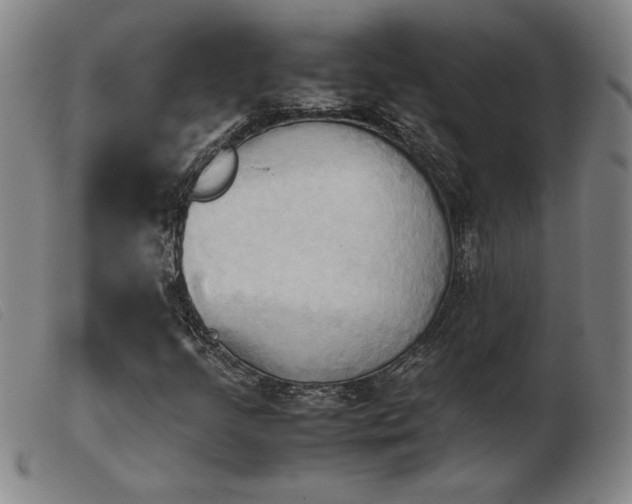 X0000103901205200809191230
