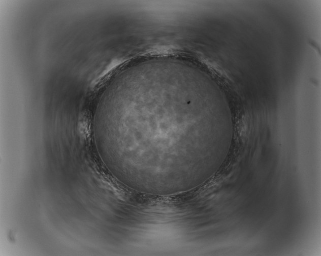 X0000103901206200809191230