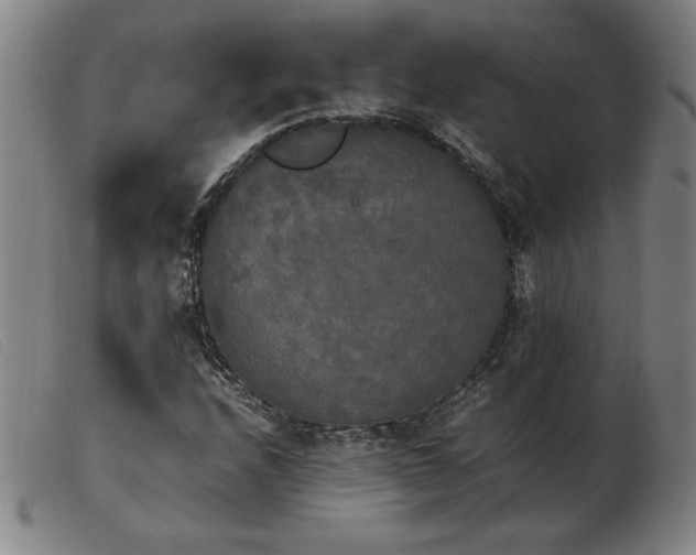 X0000103901208200809191230