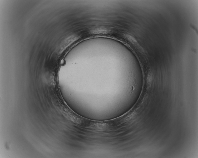 X0000103901209200809191230