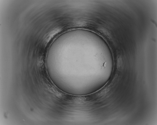 X0000103901210200809191230