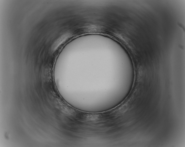 X0000103901211200809191230