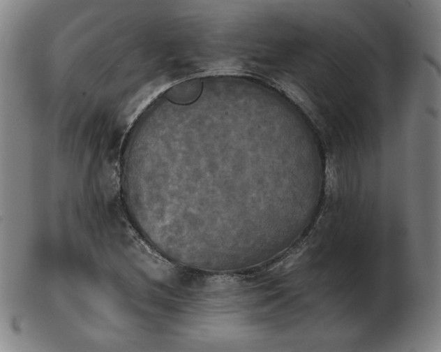 X0000103901212200809191230