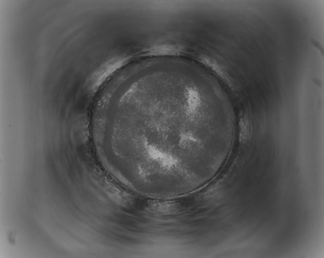 X0000103901213200809191230