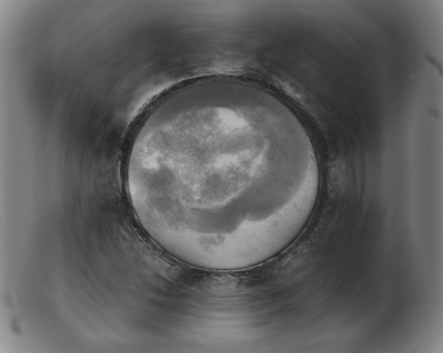 X0000103901214200809191230