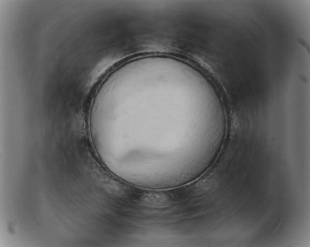 X0000103901215200809191230