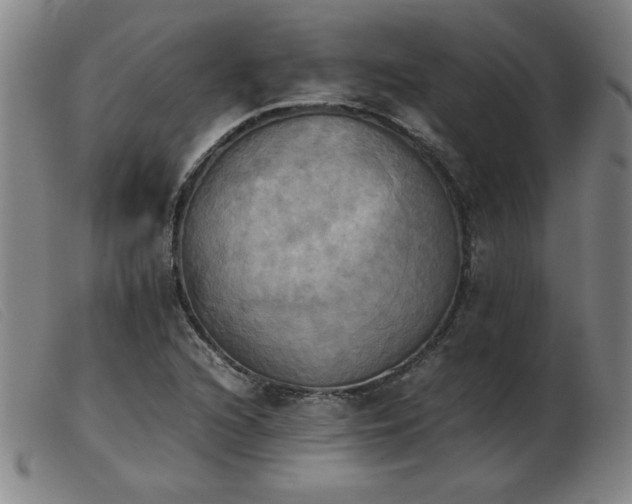 X0000103901216200809191230
