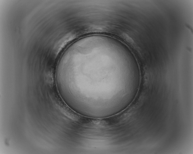 X0000103901218200809191230