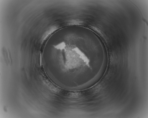 X0000103901219200809191230