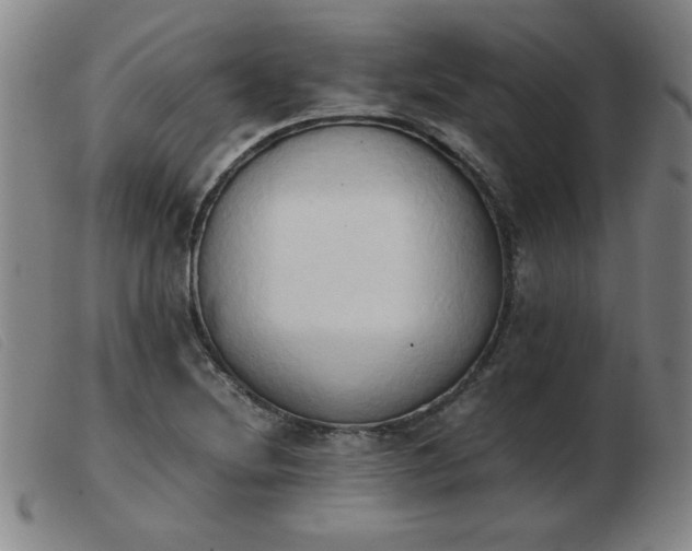 X0000103901220200809191230