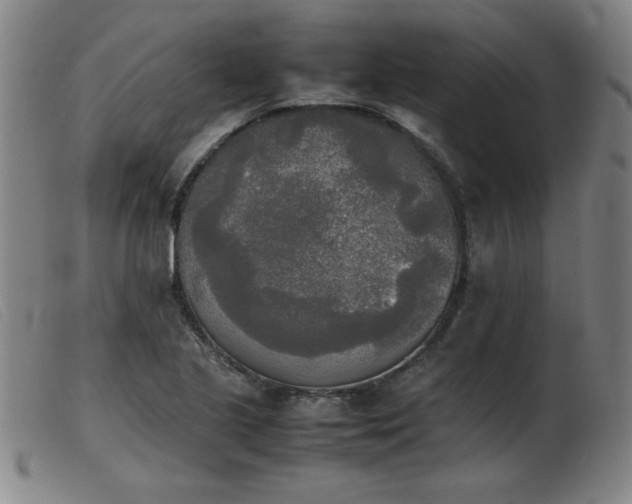 X0000103901221200809191230