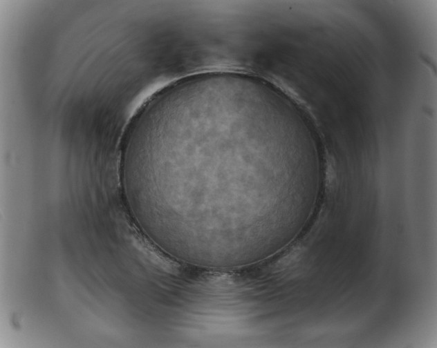 X0000103901222200809191230