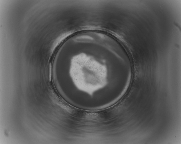 X0000103901223200809191230