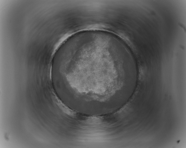 X0000103901224200809191230