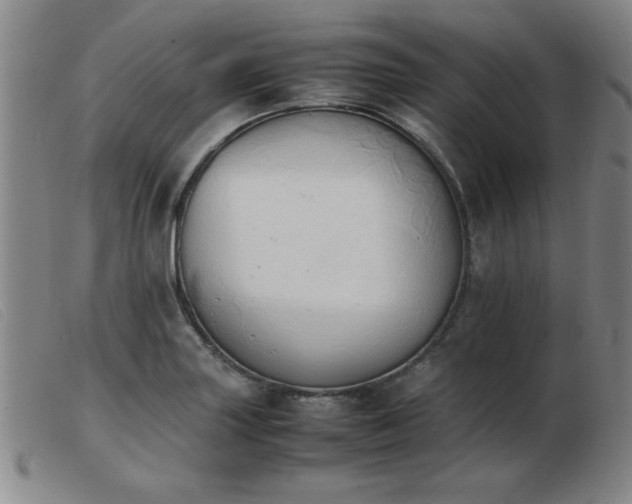X0000103901227200809191230