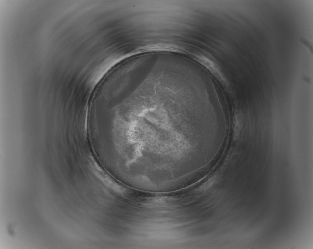 X0000103901228200809191230