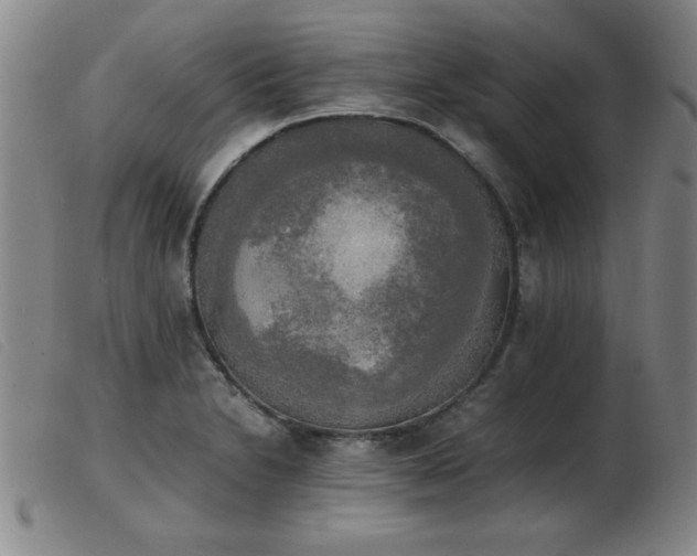 X0000103901230200809191230
