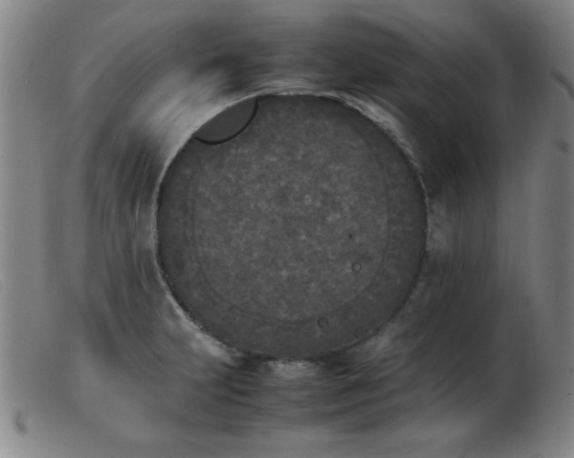 X0000103901231200809191231