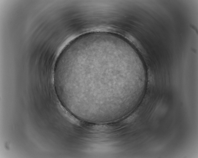 X0000103901232200809191231