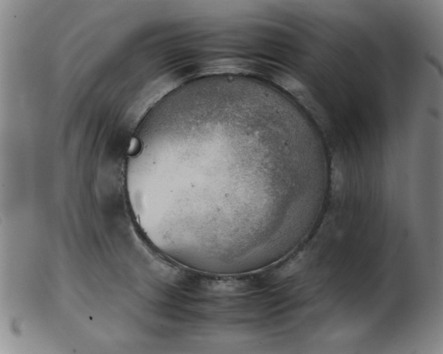 X0000103901233200809191231
