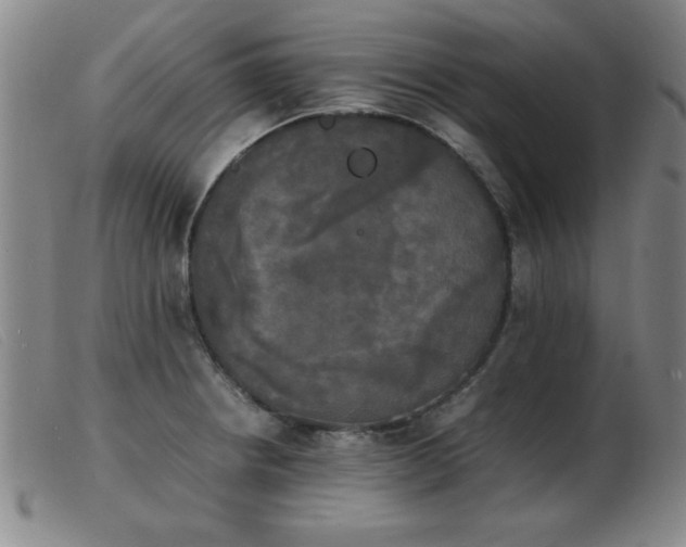 X0000103901234200809191231