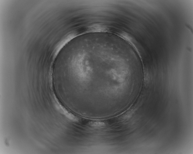 X0000103901235200809191231