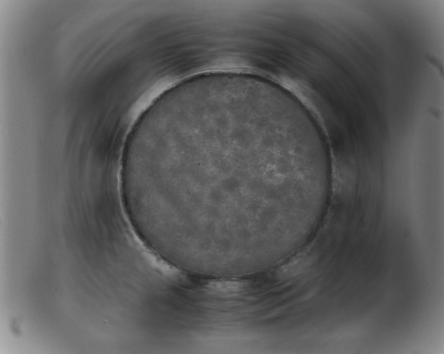 X0000103901237200809191231