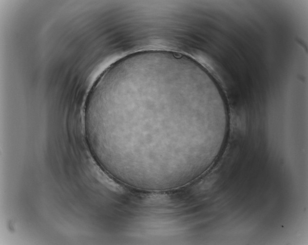 X0000103901238200809191231