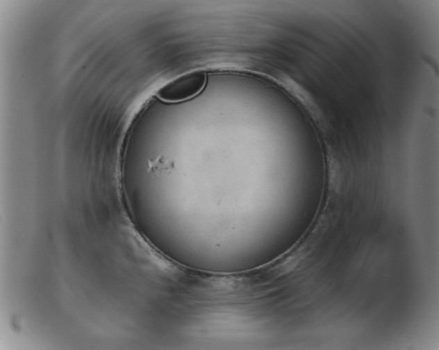 X0000103901240200809191231