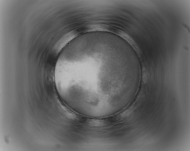 X0000103901241200809191231