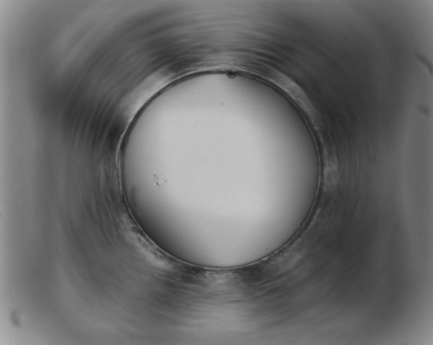X0000103901242200809191231