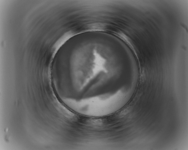 X0000103901243200809191231