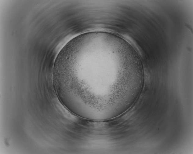 X0000103901244200809191231