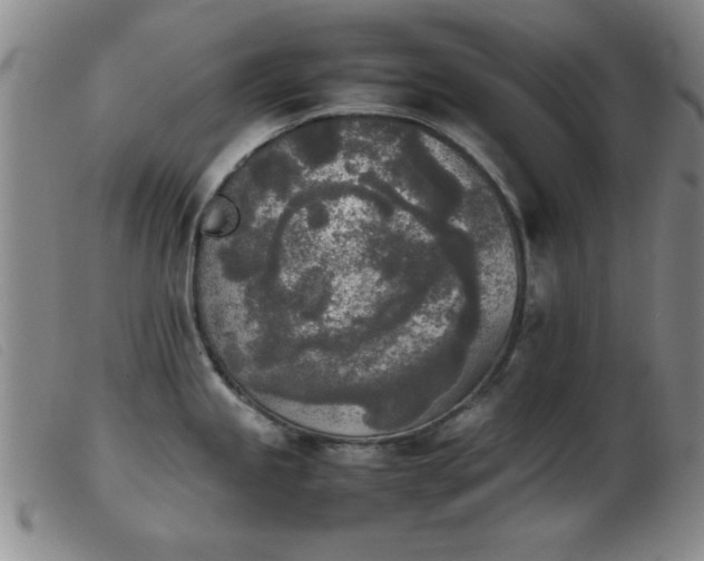 X0000103901245200809191231