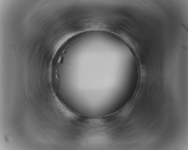 X0000103901246200809191231