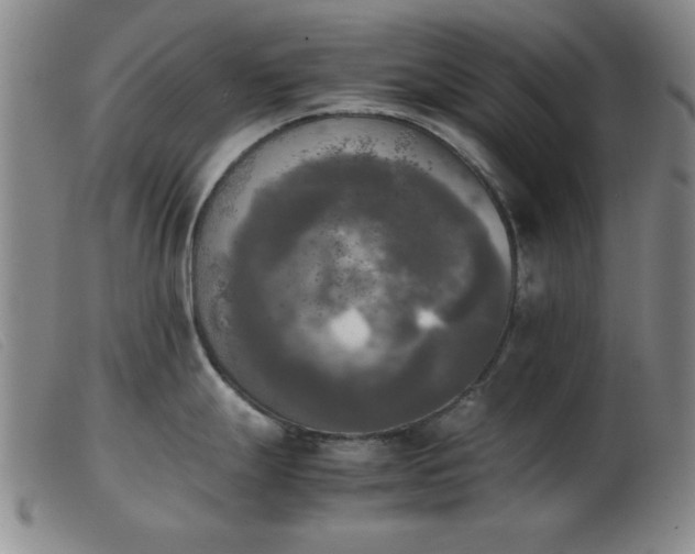 X0000103901247200809191231