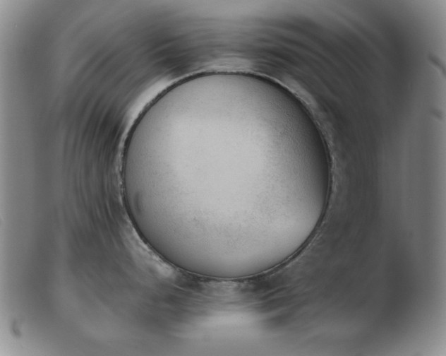 X0000103901248200809191231