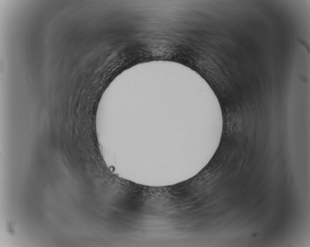 X0000103901249200809191230
