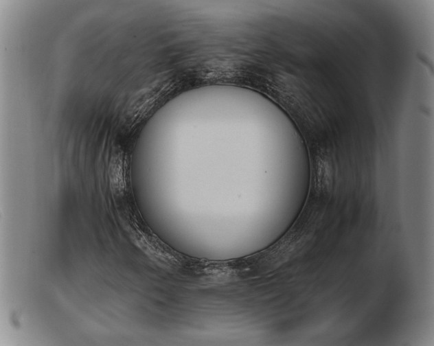 X0000103901250200809191230