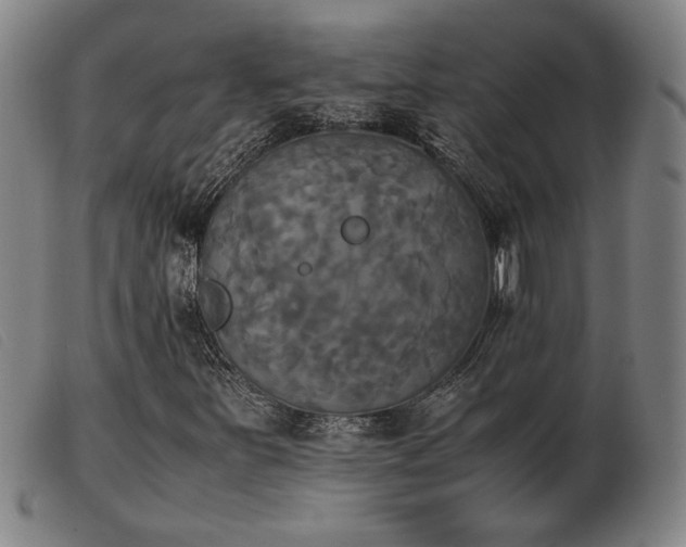 X0000103901251200809191230