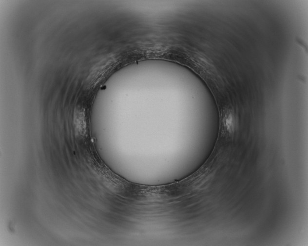 X0000103901252200809191230