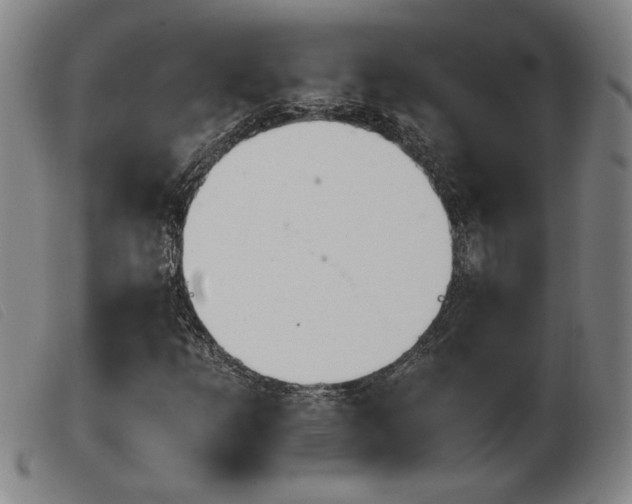 X0000103901253200809191230