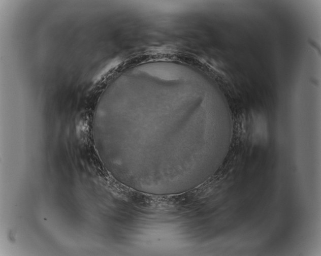 X0000103901254200809191230